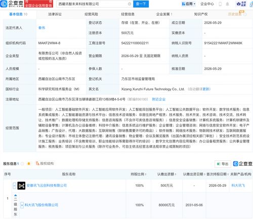 科大訊飛在西藏布局 新公司含多項(xiàng)AI業(yè)務(wù)，人工智能應(yīng)用迎來區(qū)域新范例